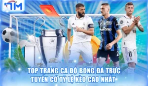 Top Trang Cá Độ Bóng Đá Trực Tuyến Có Tỷ Lệ Kèo Cao Nhất 8 Top trang cá độ bóng đá trực tuyến