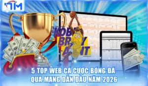 5 Top Web Cá Cược Bóng Đá Qua Mạng Dẫn Đầu Năm 2026 7 Top web cá cược bóng đá qua mạng