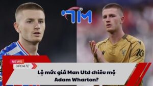 Lộ mức giá Man Utd chiêu mộ Adam Wharton? 8 Lộ mức giá Man Utd chiêu mộ Adam Wharton?